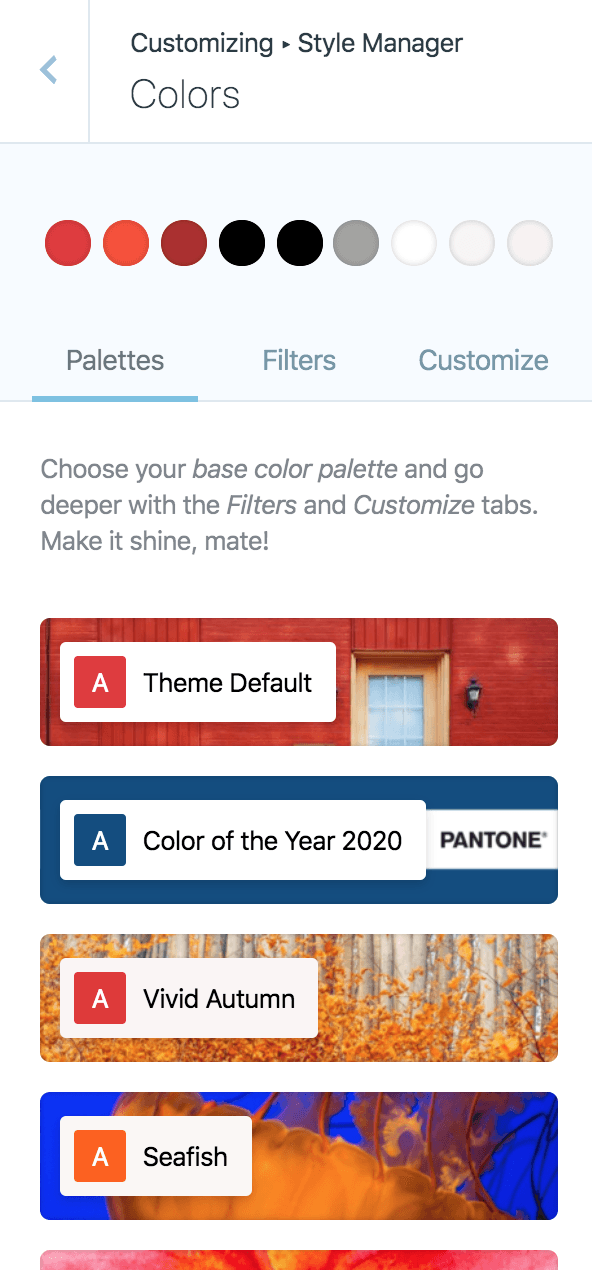 Color Palettes interface in the WordPress Customizer